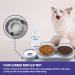 Auvstar 3-in-1 Cat Bowls with Stand - Tilted, Anti-Spill & Adjustable - Grey - Buy Online on GoSupps.com