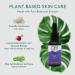 OM Botanical Vitamin C E Ferulic Rutin Facial Serum Most Stable & High-Performance Antioxidant Formula for Radiant Youthful Skin | Nourishing & Non-Sticky for Women & Men - Buy Online on GoSupps.com