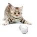 YOFUN Smart Interactive Cat Toy - Newest Version 360 Degree Self Rotating Ball, USB Rechargeable Pet Toy, Build-in Spinning Led Light, Stimulate Hunting Instinct for Your Kitty White