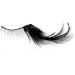 Buy Jofrika Cosmetics Star Lashes - Long Black Eyelashes with Glue | Perfect for Carnival & Theater - Worldwide Shipping - Buy Online on GoSupps.com