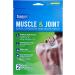 Great Lakes Wholesale 8070790155 2Ct Heat Pain Patch Health Products