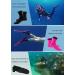 SUJAYU 3MM Neoprene Diving Socks - Black X-Large - Buy Online on GoSupps.com
