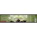 Zec+ Nutrition Vegan Protein Pudding 500g - Indulgent Chocolate Flavor | High-Protein Healthy Snack - Buy Online on GoSupps.com