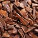 nutrifresh Sandalwood fine powder 100g Pure natural Sandalwood powder Chandan powder sandal wood - Buy Online on GoSupps.com