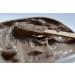 Moroccan Natural Rhassoul Clay - 200g Sun Dried & Micronised from Atlas Mountains - Buy Online on GoSupps.com