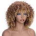 Buy Colourfulpanda Kinky Curly Afro Wig - Brown Blond Brazilian Synthetic Hair for Women | Short Ponytail Wigs for Black Women - Buy Online on GoSupps.com