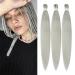 Braids Kunsthaar 20Backs Ginger Braided hair for braids hair for the braid Box Braids Kunsthaar for simple synthetic braided hair extensions braids braid extensions (20 inches silver#) 50.8cm-20 inches (3 Pack) Silver###