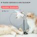 Sunshine Smile Cat Toys Set | Interactive Springs & Treats for Cats & Dogs - International Shipping - Buy Online on GoSupps.com