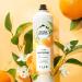 Herbal Essences Volumizing Hairspray Strong Hold Fresh Citrus Scent Pack of 3 24 oz Total - Buy Online on GoSupps.com