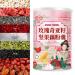 Rose Chia Seed Nut Lotus Root Noodle Soup Instant Brewed Breakfast nut Lotus Root Powder Soup Nutritious and Healthy Porridge (1 can)