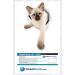Winston & Bear Siamese Kitten Cat 3D Stickers - 2 Pack for Wall, Bedroom, Fridge, Toilet - Retail Packaged - Buy Online on GoSupps.com