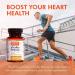 Superfood Science Omega 3 Fish Oil with Turmeric Curcumin & Bioperine Black Pepper Extract - 30 Capsules - Buy Online on GoSupps.com