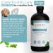 Living Well with Dr. Michelle Cool Mint Remineralizing Mouthwash | Hydroxyapatite & Colloidal Silver Formula | Alcohol-Free | Fluoride-Free Mouth Rinse - Buy Online on GoSupps.com