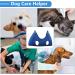 DaizySight Dog Grooming Hammock Kit for Medium Dogs - Size: L Hanging Cradle Sling for Nail Trimming Clipping Blue - Buy Online on GoSupps.com