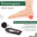 Sulpo Heel Spur Pillows - 2 Pairs of Pain Relief Inserts for Men & Women - Leather & Latex Foam - Comfort for Achilles Tendon - Black (Size 35-41) - Buy Online on GoSupps.com