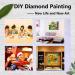 VAIIEYO 5D Diamond Painting Kit - Balloon River Full Drill Round Rhinestone Craft Canvas 12x16 - Buy Online on GoSupps.com