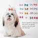 POPETPOP 50pcs Dog Bows with Rubber Bands-Pet Cat Dog Hair Bows Multicolor Rhinestone Beads Flowers Topknot Puppy Bows(Mixed Color) - Buy Online on GoSupps.com