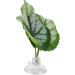 Betta Fish Hammock | Green Leaf Bed for Betta Fish | Perfect Aquarium Accessory - Buy Online on GoSupps.com