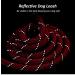 DDSCOLOUR Double Dog Leash Coupler No Tangle 360 Swivel Reflective Double Lead Dual Two Dog Lead Splitter fo Fits Small Medium Large Dogs 30 inch(Diameter:0.8-1.2cm) Red 0.39"(1.0cm) Red - Buy Online on GoSupps.com