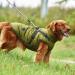 Shop Savlot Winter Dog Jacket Vest - Sleeveless Cotton Padded Pet Skiing Costume - Green (1 Pack) | Ideal for Cold Weather - Buy Online on GoSupps.com