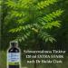  Superkost Black walnut tincture 120 ml extra strong according to Dr. Hulda Clark - Buy Online on GoSupps.com