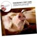 minkissy 6 pcs Early Pregnancy Cow Pregnancy Test Paper Plastic Bands Livestock Pregnancy Diagnosis Tester Pregnancy Test Strip for Pig Pregnancy Test Paper Tool The Cow Whitex3pcs 1 count (Pack of 1) - Buy Online on GoSupps.com