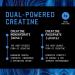 BEYOND RAW Creatine Monophate - Duel-Powered with 5g of creatine monohydrate 3g of creatine Phosphate and 50mg of Atstragin Blue Raspberry (30 Servings) - Buy Online on GoSupps.com