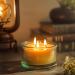 Buy Bluecorn Botanica Beeswax Candle - 3-Wick Pure Beeswax & Vanilla Scented Candle | International Shipping Available - Buy Online on GoSupps.com