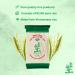 BAMBOO TREE - Vermicelli de riz frais - 1 X 200 GR - Buy Online on GoSupps.com