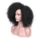 Lady Miranda Afro Short Kinky Synthetic Curly Wigs for Black Women - Natural and Stylish - Buy Online on GoSupps.com