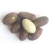 Petit Cola Nuts - Bitter Kola Nut - Bag of 20 pieces - Buy Online on GoSupps.com