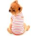 Paidful British Little Dog Shirt - Soft Cotton T-Shirt for Puppies & Small Breeds | Striped Cat Vest | Summer Tank Tops for Chihuahua Yorkie | XL/XXL Sizes Available - Buy Online on GoSupps.com