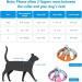 Escape-Proof Cat Harness and Leash Set - Reflective Vest for Small Cats | XXS Orange - Buy Online on GoSupps.com