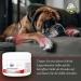 Bellfor Slogging Ointment for Dogs 30ml - Soothes Bedding & Skin Folds Heals Dry & Cracked Skin All Breeds & Ages - Buy Online on GoSupps.com