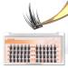 ETVITE DIY Eyelash Extensions Lash Clusters Individual Lashes  48 Clusters 3D Effect C Curl  Wispy Reusable Long Lasting Natural Look Home Eyelash Extension (Spikes Plus-14mm) 14mm Spikes Plus Style