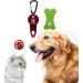 TAKONE Tick Tweezers Set Includes 1 Tick Card with Magnifying Glass and 1 Tick Remover Tick Card Tool Set for People Children Dogs and Cats - Buy Online on GoSupps.com