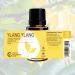 Rocky Mountain Ylang Ylang Essential Oil - 15ml Aromatherapy Oil for Diffuser & Topical Use - Quality Scented Oils International Shipping - Buy Online on GoSupps.com