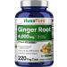 NusaPure Ginger Root Capsules 20:1 Extract 200 mg Equivalent to 4 000mg per Veggie Caps | 220 Count | Non-GMO 220 Count (Pack of 1)