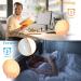 Wake Up Light Alarm Clock - Sunrise & Sunset FM Radio 7 Sounds Dual Alarms Night Light for Adults & Kids - Buy Online on GoSupps.com