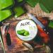 Dermal Aloe Vera Gel 95% 300ml - Face & Hair Hydrating Relief for Sunburn, Acne, Razor Bumps, Psoriasis, Eczema - Paraben Free - Buy Online on GoSupps.com