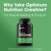Buy Optimum Nutrition Micronized Creatine Monohydrate Capsules - Keto Friendly 2500mg 100 Count | International Shipping Available - Buy Online on GoSupps.com