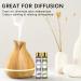 Aoruilia 6 x 10ml Essential Oils for Diffuser for Home 100% Pure Aromatherapy Oil for Sleep Cleaning Skin Care Candle Making - Tea Tree Lavender Peppermint Sweet Orange Lemongrass Eucalyptus Top 6 60 ml (Pack of 1) - Buy Online on GoSupps.com