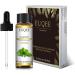 EUQEE Patchouli Essential Oil 10ml - Pure Natural Aromatherapy Oil for Home Relaxation - Ideal for Diffusers and Humidifiers - 10.00 ml (Pack of 1) - Buy Online on GoSupps.com