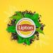 Lipton Green Tea Marrakech Mint (Pack of 4x10 Capsules) - Buy Online on GoSupps.com