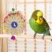 Heyu-Lotus 3 Pack Bird Shredding Toys Budgie Toys Parrot Chewing Hanging Toys Birds Cage Foraging Shredder Toys Bird Cage Accessories for Small Parakeets Cockatiels Budgies Love Birds - Buy Online on GoSupps.com