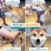 Embark Pets Adventure Dog Harness Medium - No Pull, Anti-Pull, Adjustable, Orange - Chest 60-77 cm - Buy Online on GoSupps.com