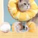 Soft Cat Recovery Collar Comfy Head Wound Healing Protective Collar for Cat Recovery After Surgery Adjustable Cute Neck Cone for Cats Kitten and Puppies (Orange M) - Buy Online on GoSupps.com