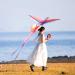 Shop Mints Colorful Life Rainbow Phoenix Kite - Easy to Fly Large Beach Kites for Kids & Adults | International Shipping Available - Buy Online on GoSupps.com