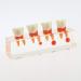 Buy Dental 4-Stage Endodontic Treatment Clear Model - Ideal for Study & Teaching | International Shipping Available - Buy Online on GoSupps.com