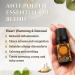 Ecodrop Allergy Essential Oil Blend - 10ml | Pure Therapeutic Grade Aromatherapy for Decongestion & Hay Fever Relief - Buy Online on GoSupps.com
